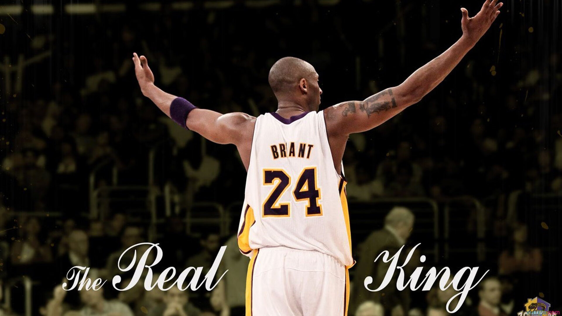 Leyu Sport下载-节奏感是否影响外线球员跑位空切的效率，节奏型球员